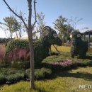 시민근린공원 건너편 이미지