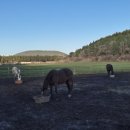 연학목장 이미지