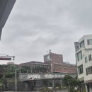 빽다방여수진남관점 | 혼여 여수여행 블루온리조트 뚜벅이 바다김밥 노랑고래찹쌀꽈배기 빽다방