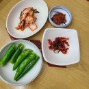 황태물찜메밀막국수