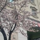 몽블랑모텔 이미지