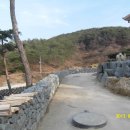 돌담농장 이미지