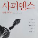 사피엔스 이미지