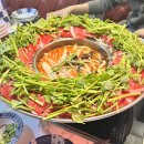 온 마이 오온 | 연석 취켓 성공으로 데이식스 대전 막콘 갔다온 썰 푼다