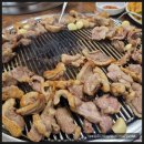 두운농장 네이버블로그