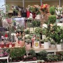 유림꽃화원 이미지