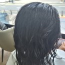 천안 두정동에서 찾은 인생 미용실! 두피·모발 클리닉 제대로 하는 찰스리 두정먹자골목점 후기