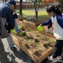 횡성초등학교 이미지