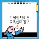 울림 반려견 교육센터 이미지