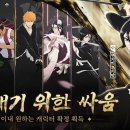 퍼피월드제주 이미지