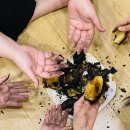 여락당 | 경산 아삶공펜션, 의열당- 고양이를 좋아한다면 꼭!