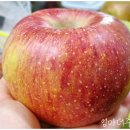 월봉청솔마트 | 천안 쌍용동 맛있는 과일 파는 곳 월봉청솔할인마트, 왜 이렇게 인기 있을까?