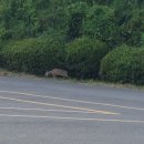 버스정류소_남군농협 이미지