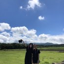 어가식당 이미지