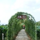 7월15일 / 부여 부소산,낙화암,고란사,궁남지연꽃축제 이미지