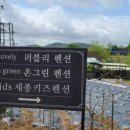 세종 하이키즈풀빌라 이미지