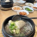 주왕산삼계탕 체인본점 | 대구 삼계탕 맛집 ‘주왕산 삼계탕 본점’ 능이버섯삼계탕 후기