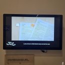 비엔날레 | [전시] 2025 광주디자인비엔날레 후기