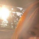 네일노벰버27 | 드디어。。나에(의) 일상