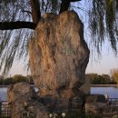 [중국 북경] 스차하이 옛거리 이미지