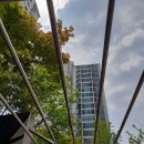 e 편한세상 107동 앞 이미지