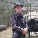 김한식농장 이미지