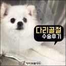 방학동물외과센터