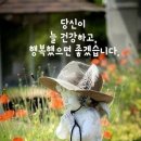 탑댄스 이미지