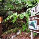 선유동1로 이미지