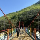 구룡계곡 순환코스 | [완주/애견동반] 운일암반일암 숲길 펫프렌들리 - 눈치보지마시개길 걷기 좋은 반려견 산책 코스