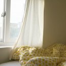 바다를 닮은집 이미지