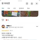 대공농장 | 치앙마이 4박 6일 여행 | 여자 혼자 여행 2일차 일정 (왓 우파쿳, 와로롯 시장, 쿤캐쥬스바, 왓 치앙만...