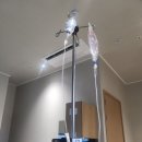 고래한방병원 이미지