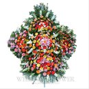 오동동016 이미지