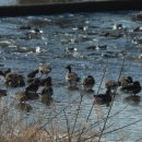 문산읍2 이미지