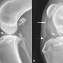 송파새날동물병원 이미지