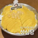 맘빙수 | 대전 성심당 테라스키친 망고빙수 추천후기와 식사 메뉴 솔직후기