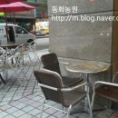 동화조경농원 이미지