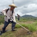 장수읍안양마을로 이미지