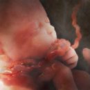 대추나무한의원 이미지