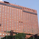 리틀야구장 이미지