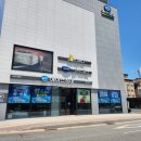 제천 단양 에이스침대 오픈 4주년 특별행사로 갓성비 좋게 구매한 리얼후기