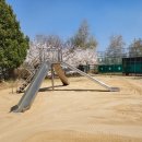 예성초교 병설유치원 이미지