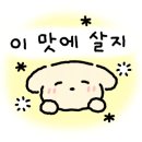 루이안 수영점 이미지