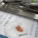 화인치과의원 이미지