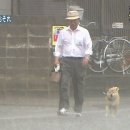 아니 - 강남구 삼성로145길 11-6 | 아니