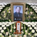 81 이미지