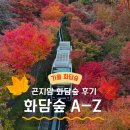 마그내다리승강장 | 2025 곤지암 가을 화담숲 예약방법 주차장 단풍시기 실시간후기 꿀팁(11월7일 방문)
