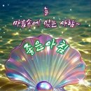 1009 Daum카페