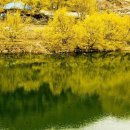 연 한의원 이미지